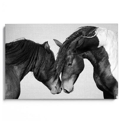Horses B&W 4