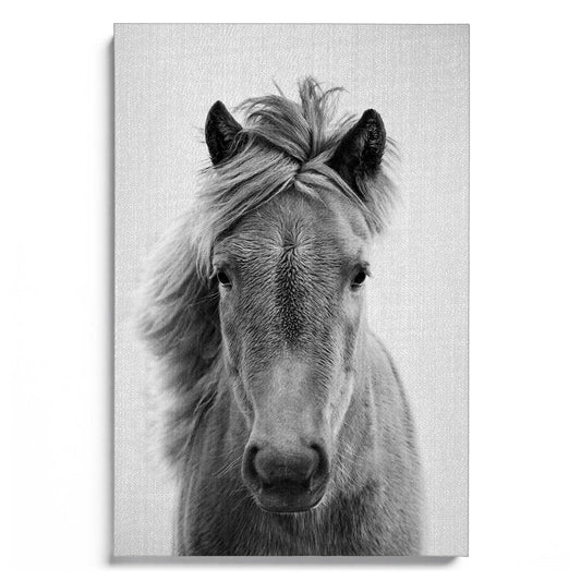 Horses B&W 5