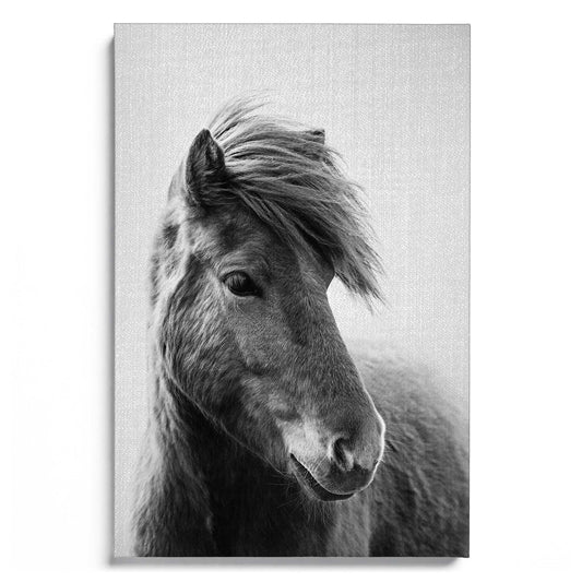 Horses B&W 6
