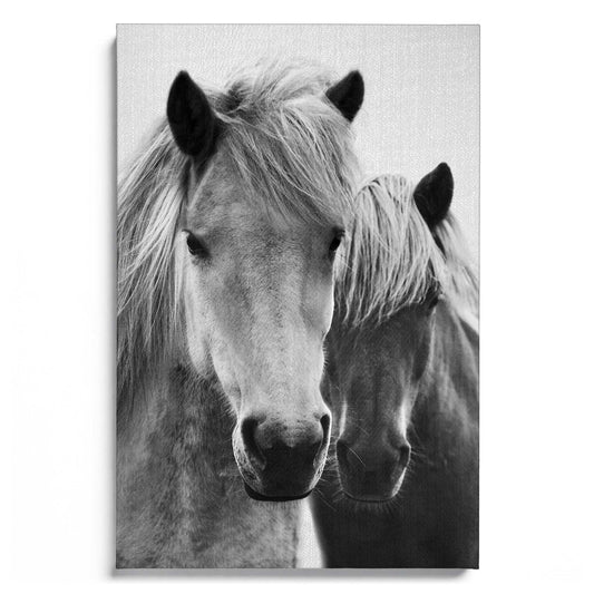 Horses B&W 7