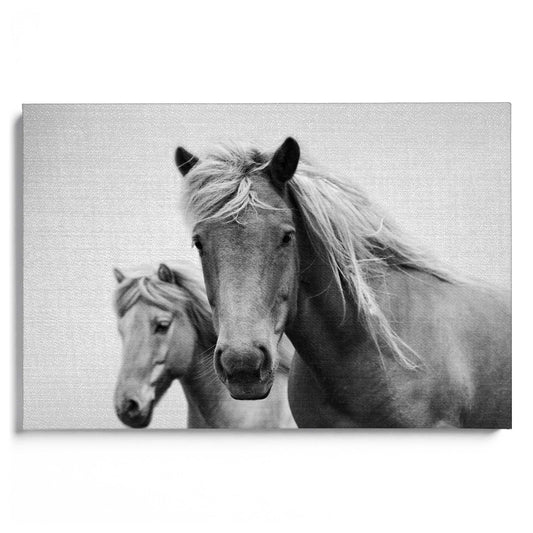Horses B&W