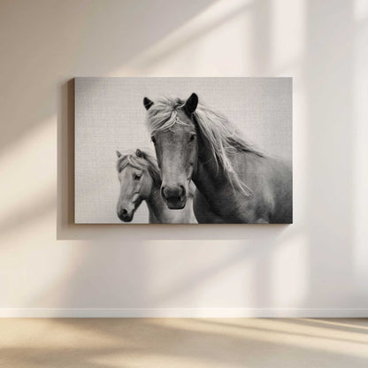 Horses B&W