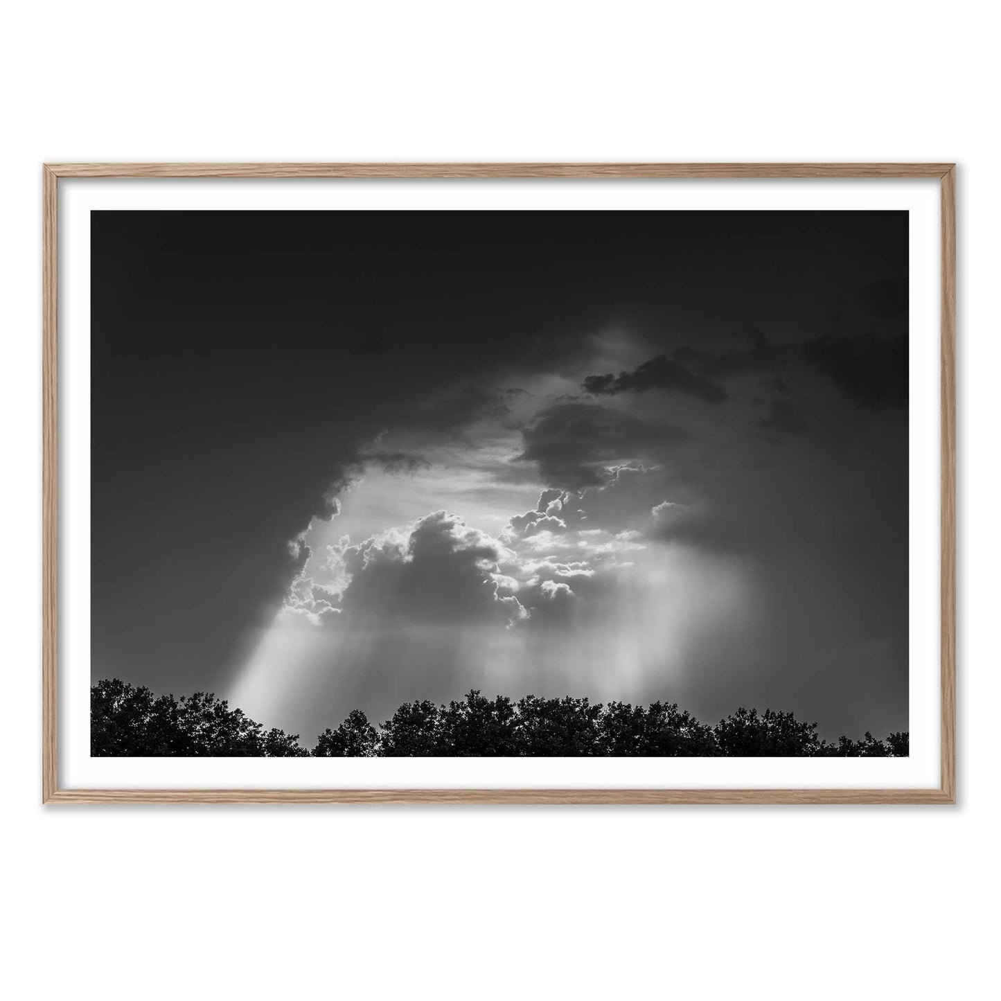 In the Cloud