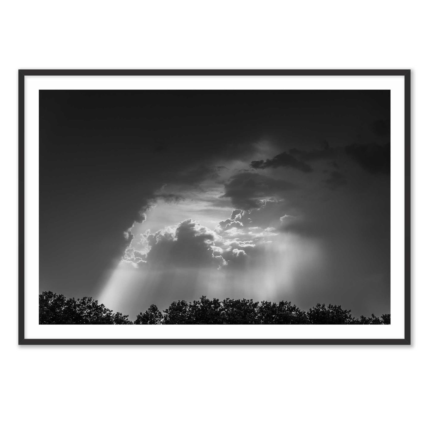 In the Cloud