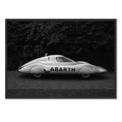 Italian Silverwing