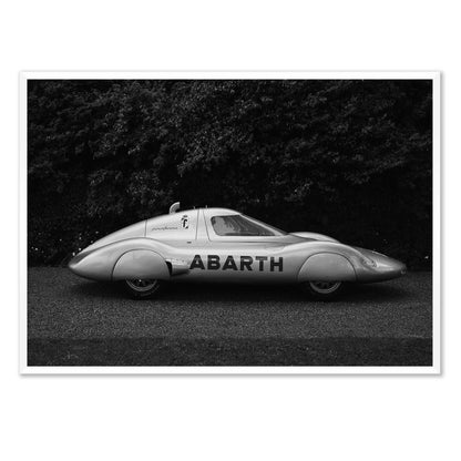 Italian Silverwing
