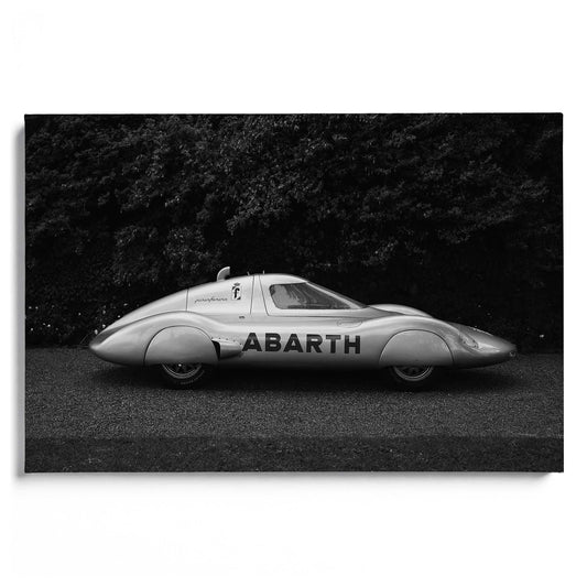 Italian Silverwing