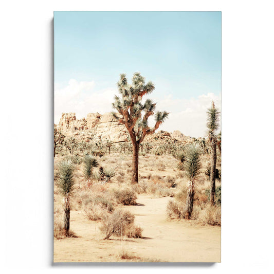 Joshua Tree