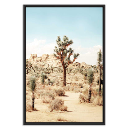 Joshua Tree