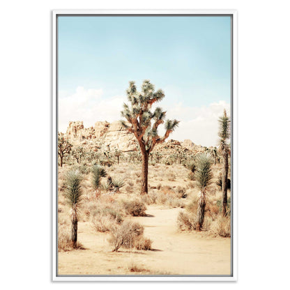Joshua Tree