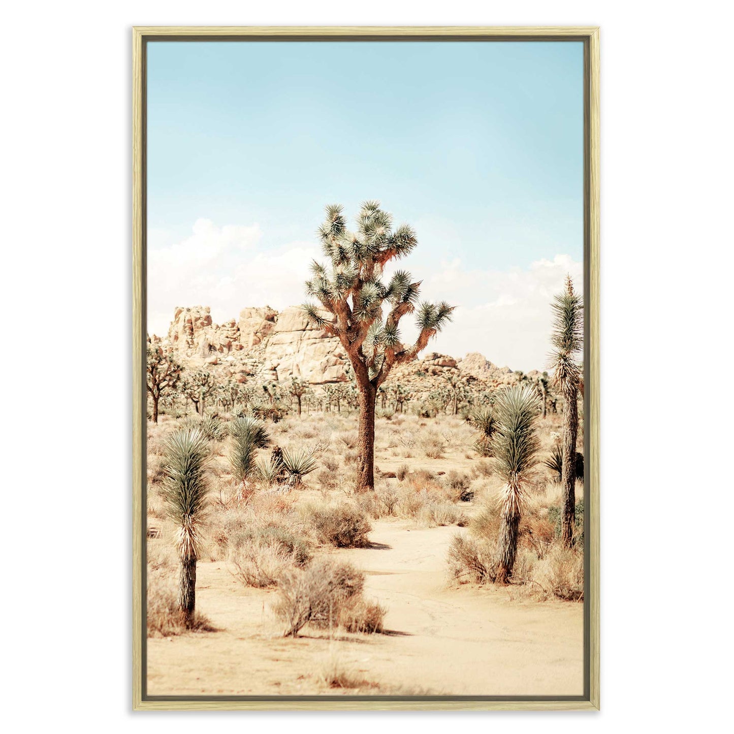 Joshua Tree