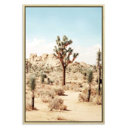Joshua Tree