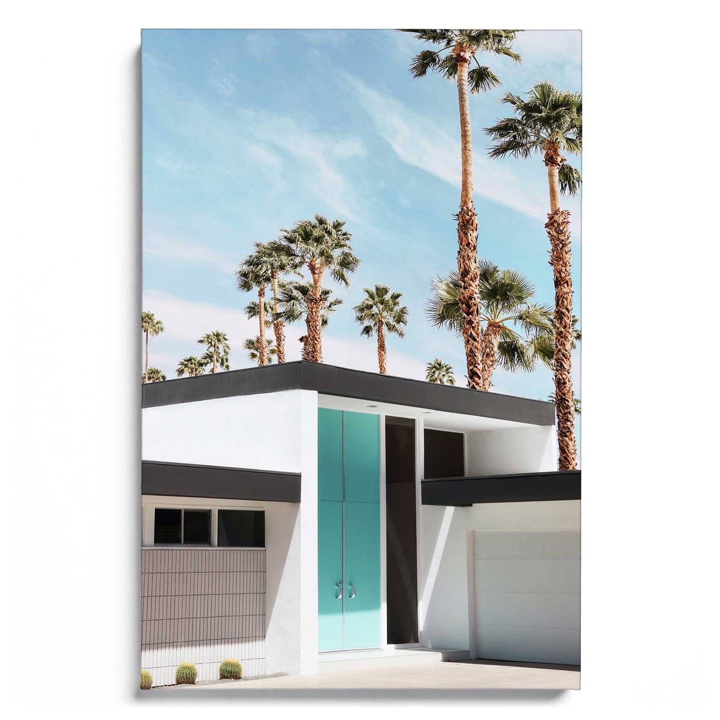 Life at Palm Springs