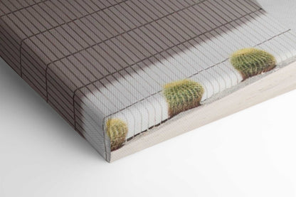 Life at Palm Springs