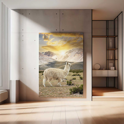 Llama Sunset