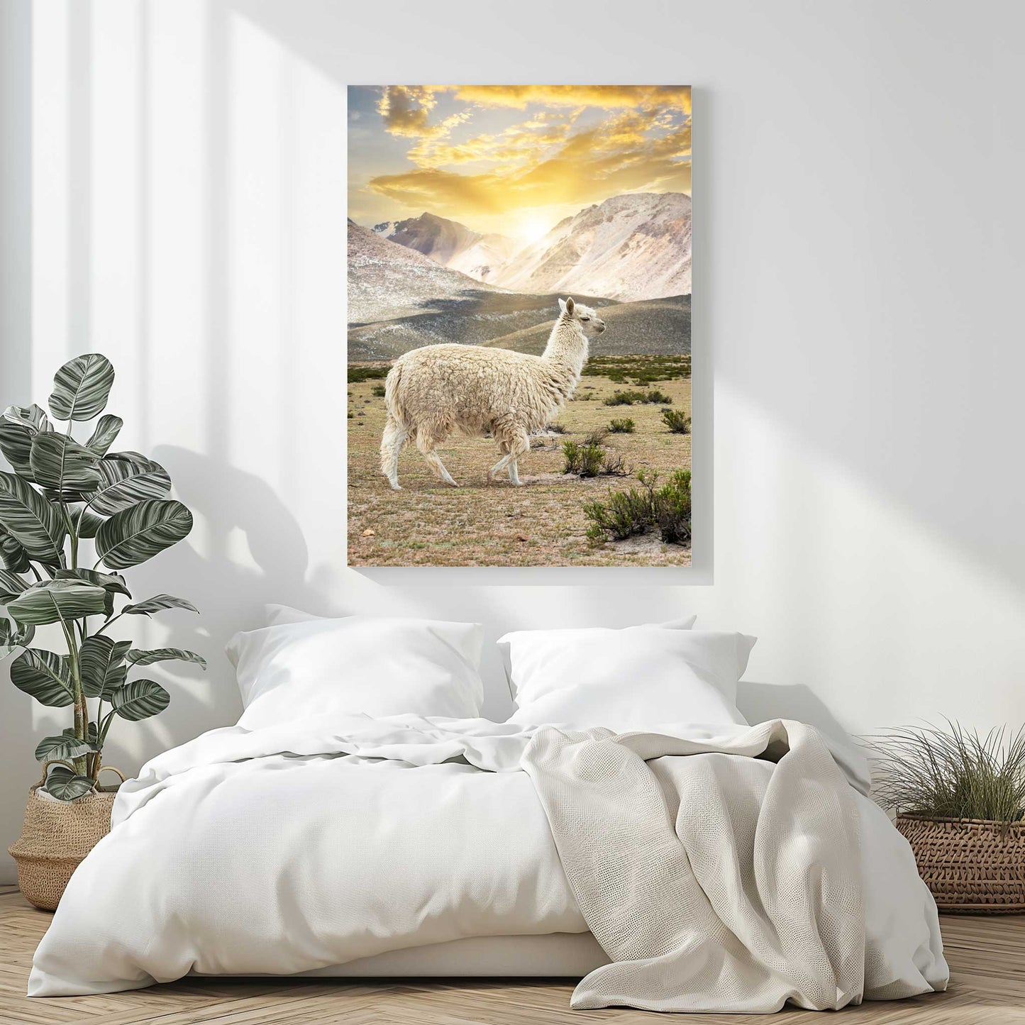 Llama Sunset