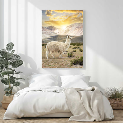 Llama Sunset