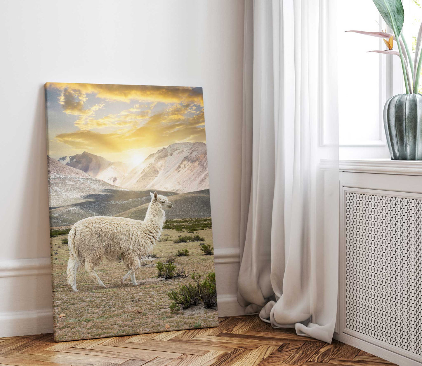 Llama Sunset