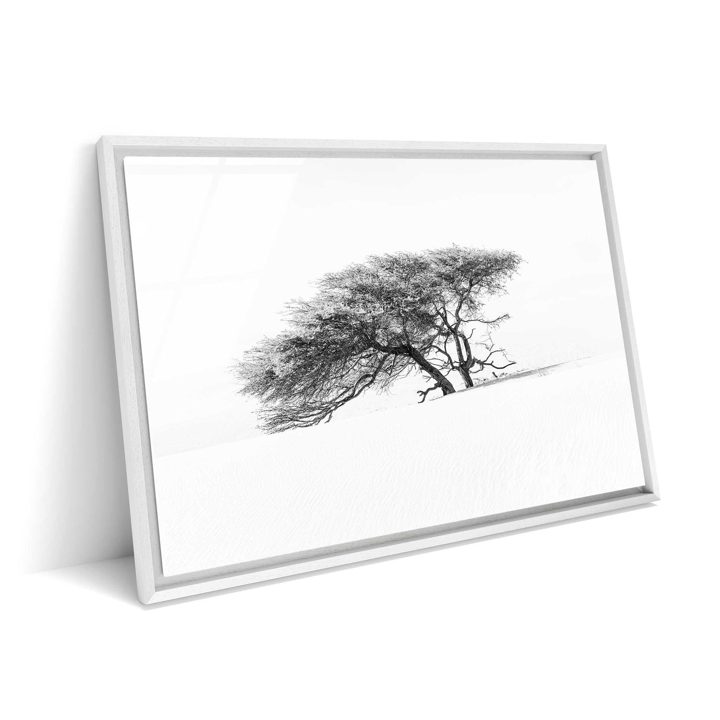 Lonely Tree in the Sahara