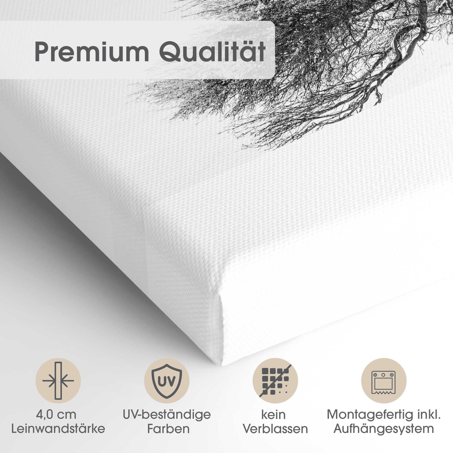 Lonely Tree in the Sahara