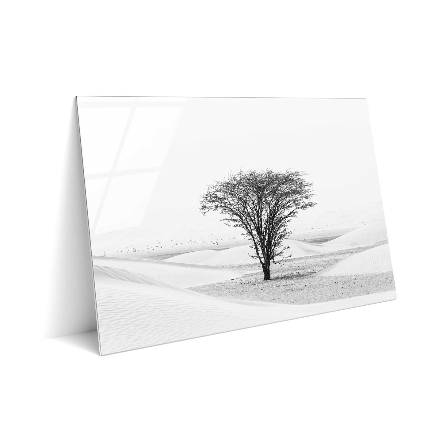 Lonely Tree in the Desert