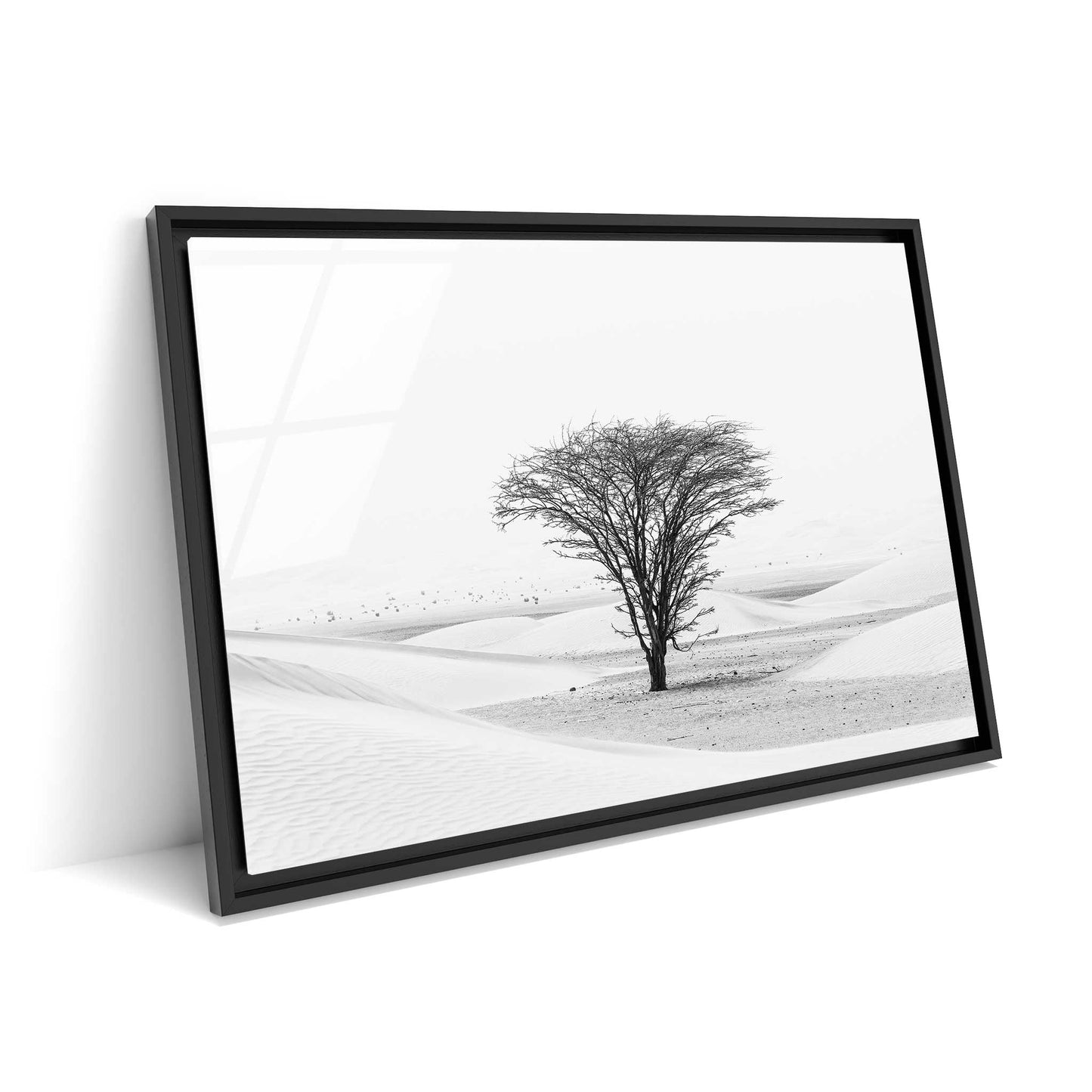 Lonely Tree in the Desert