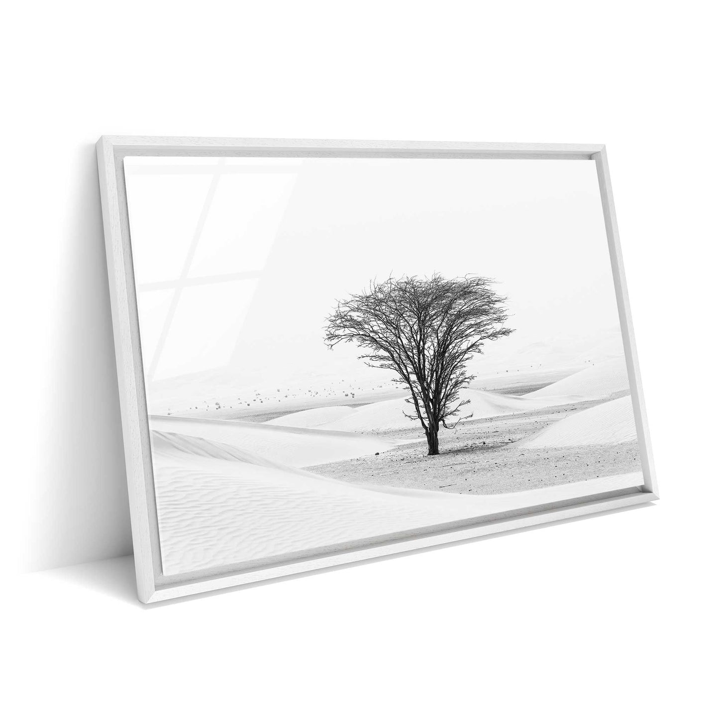 Lonely Tree in the Desert
