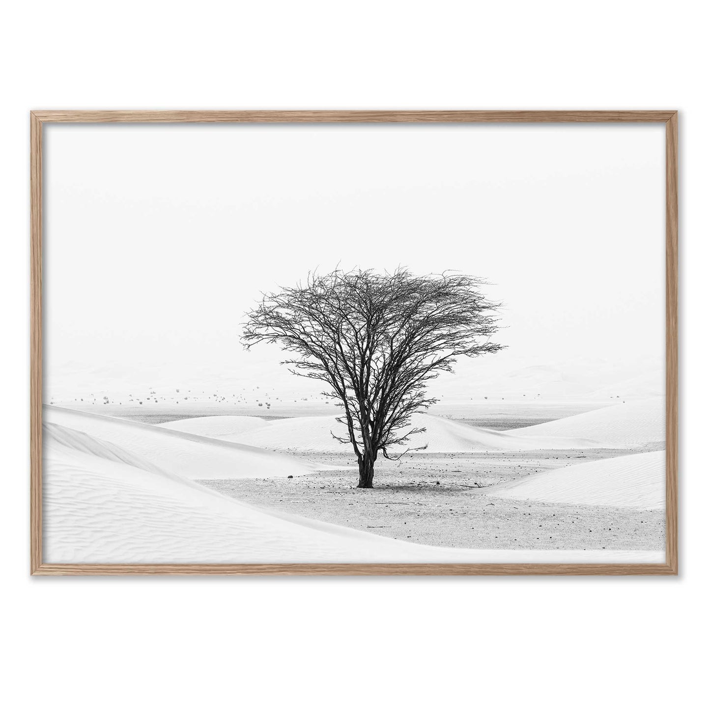Lonely Tree in the Desert