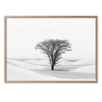 Lonely Tree in the Desert