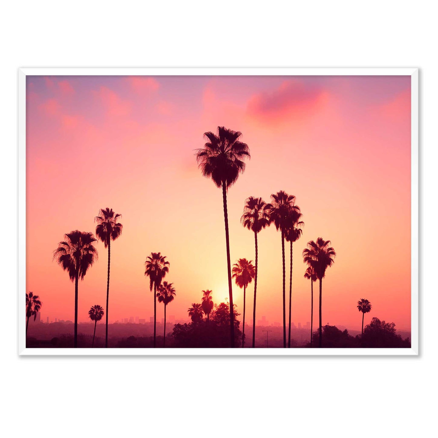 Los Angeles Lights