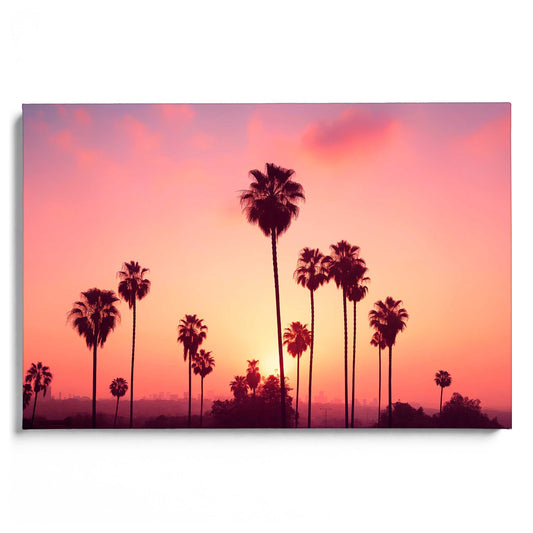 Los Angeles Lights