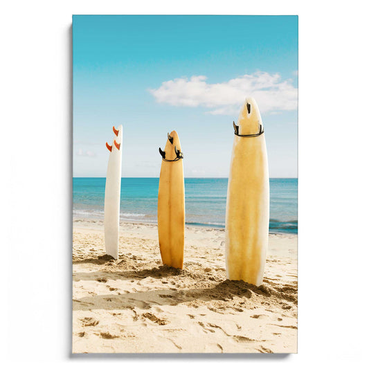 Malibu Surfboards