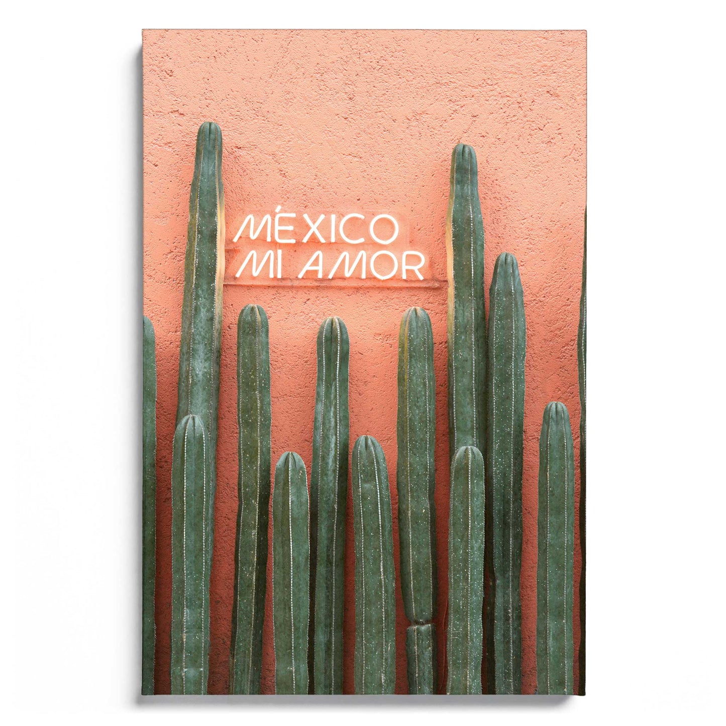 Mexico Mi Amor
