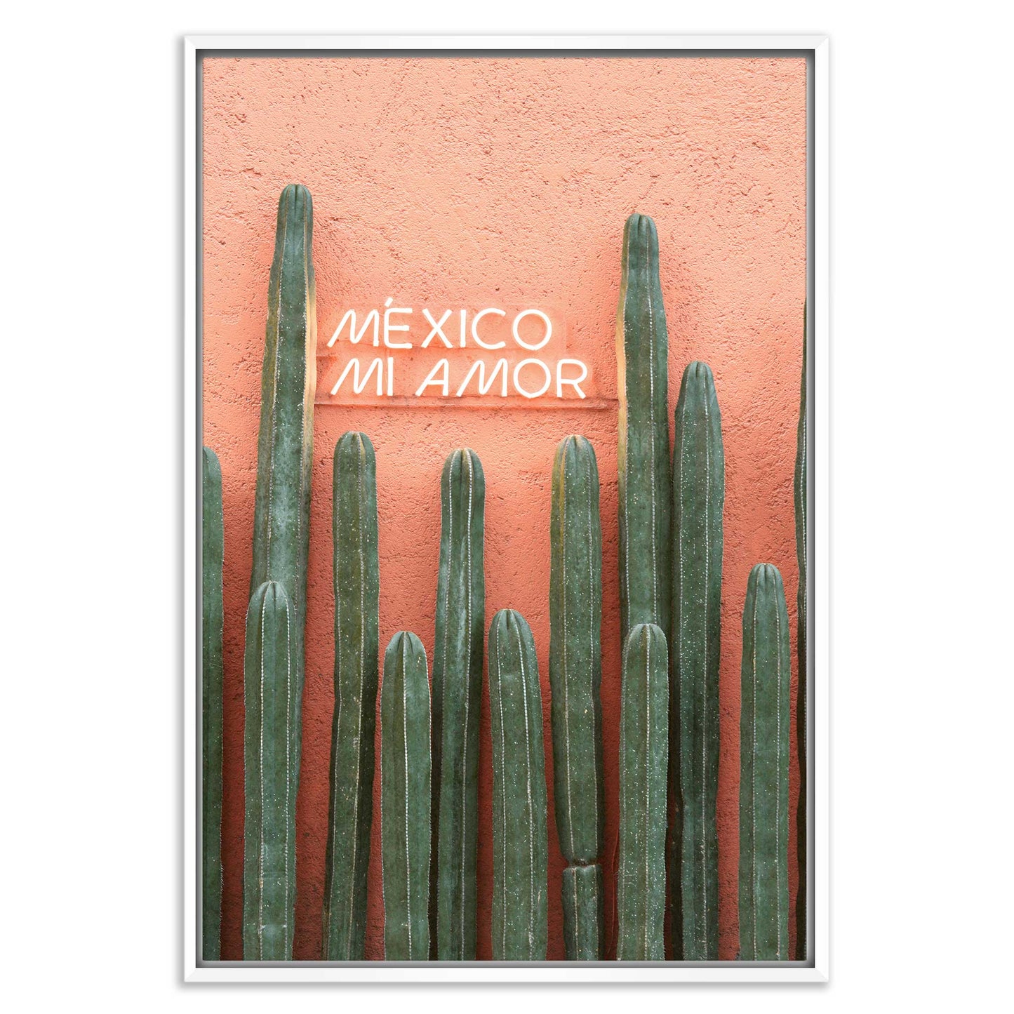 Mexico Mi Amor