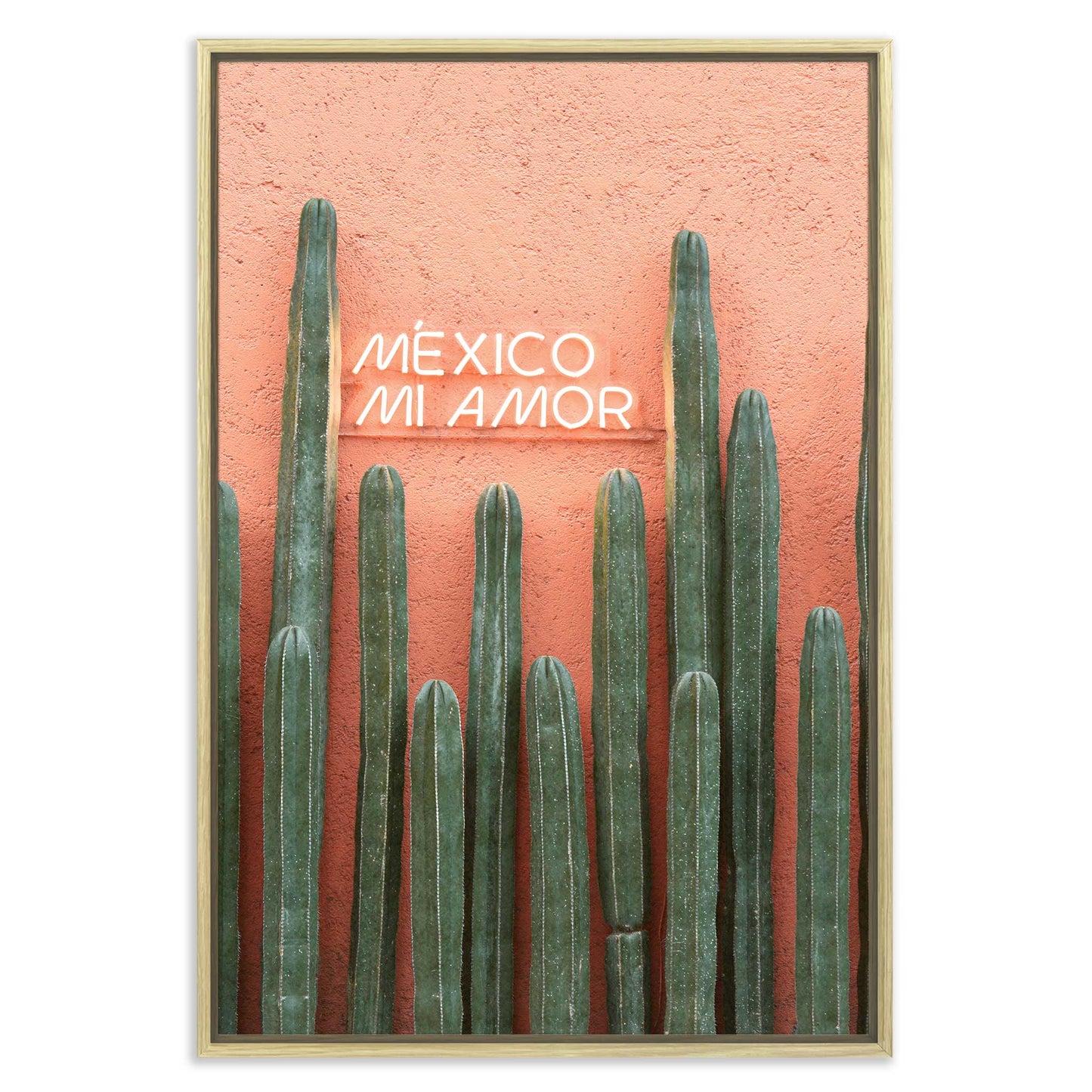 Mexico Mi Amor