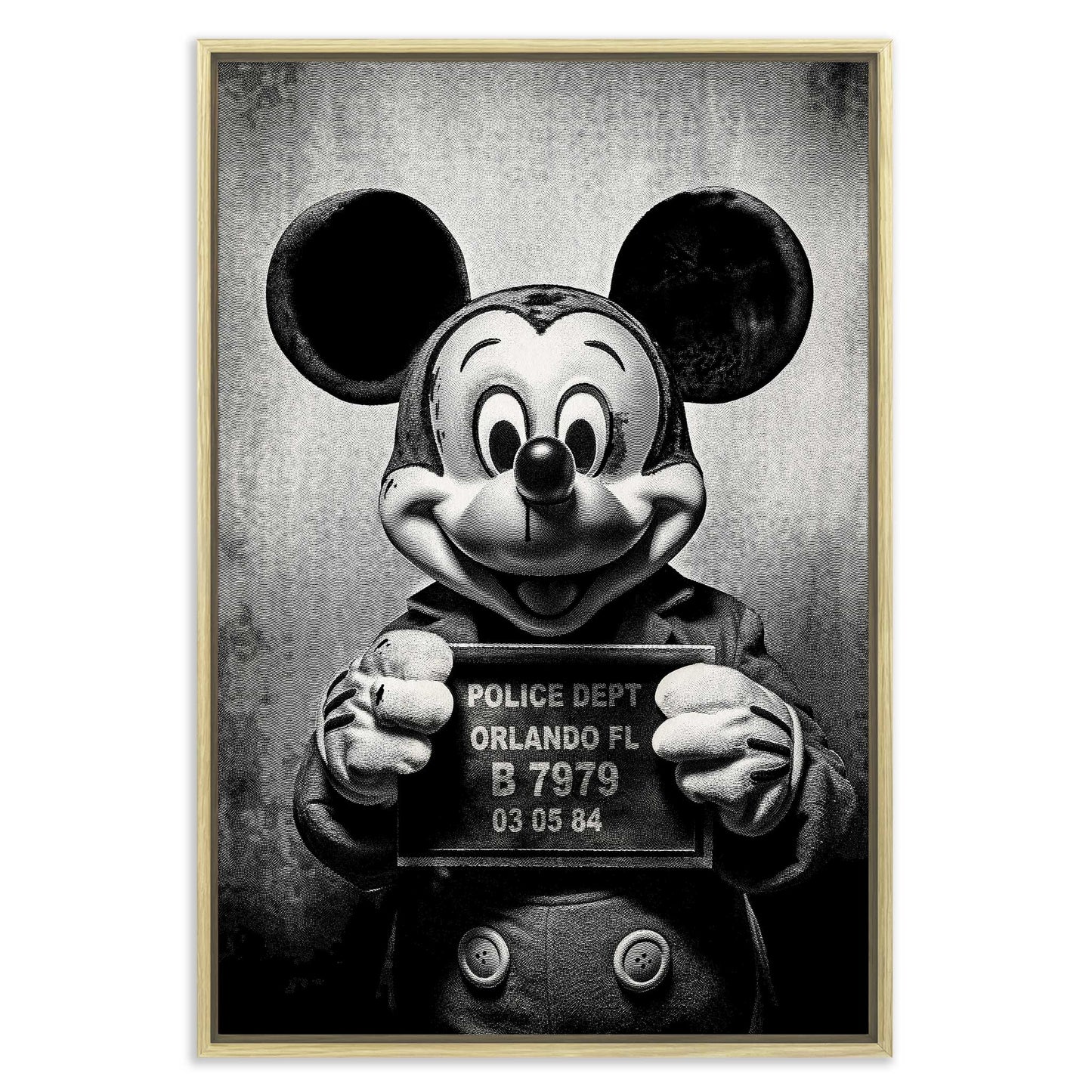Mickey Mugshot