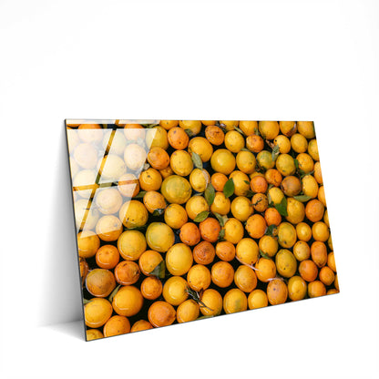 Orange Oasis