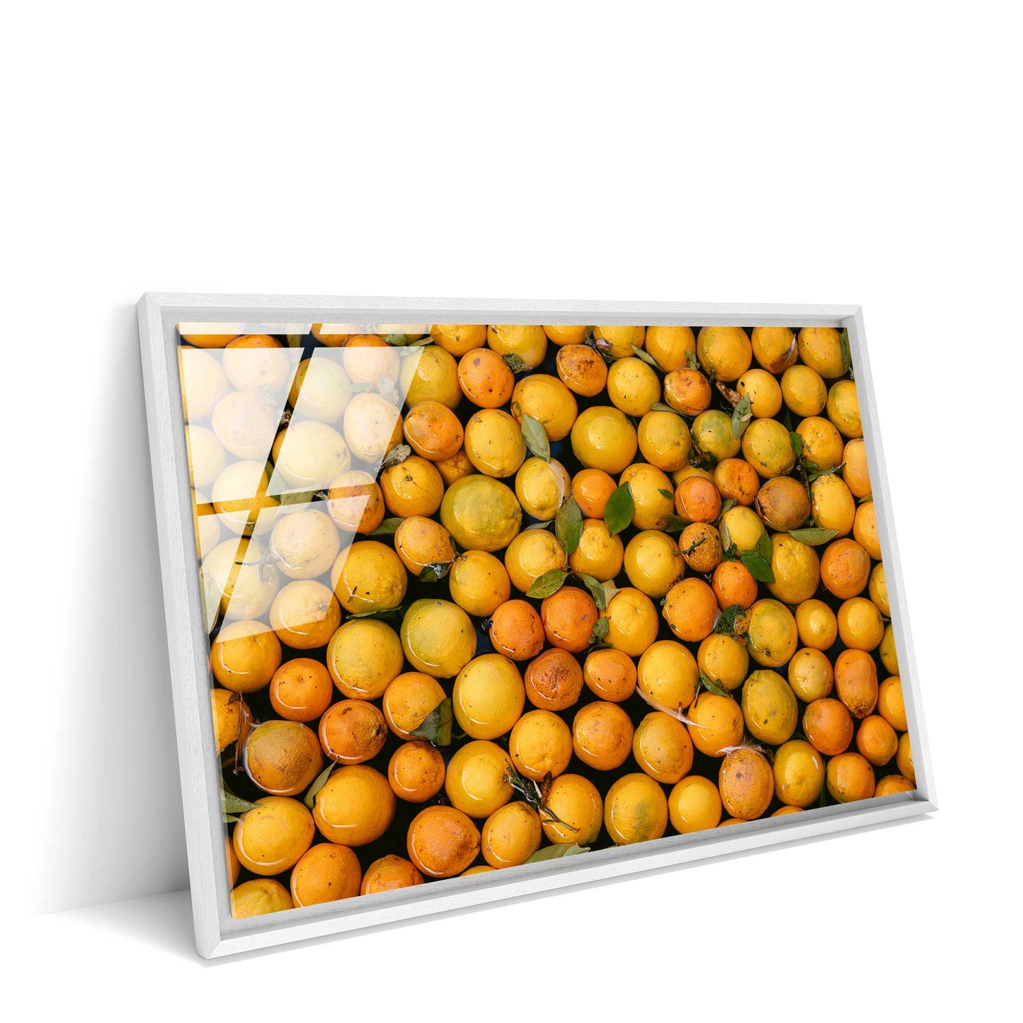Orange Oasis