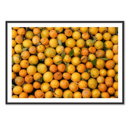 Orange Oasis