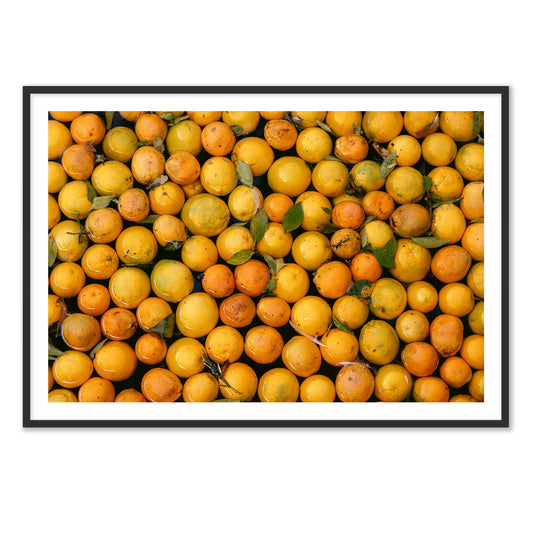 Orange Oasis