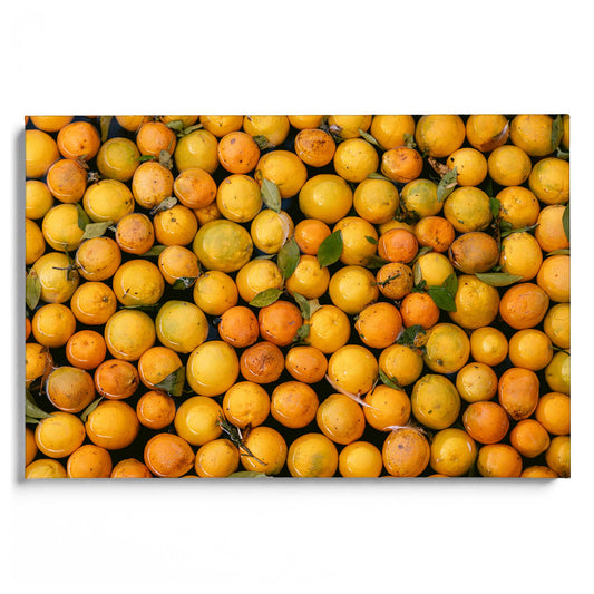 Orange Oasis