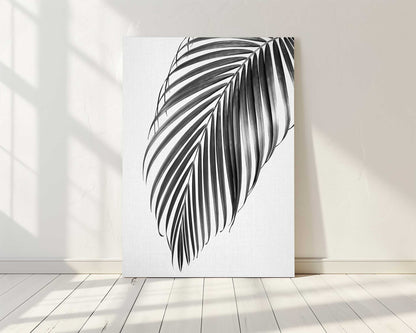 Palm Leaf B&W