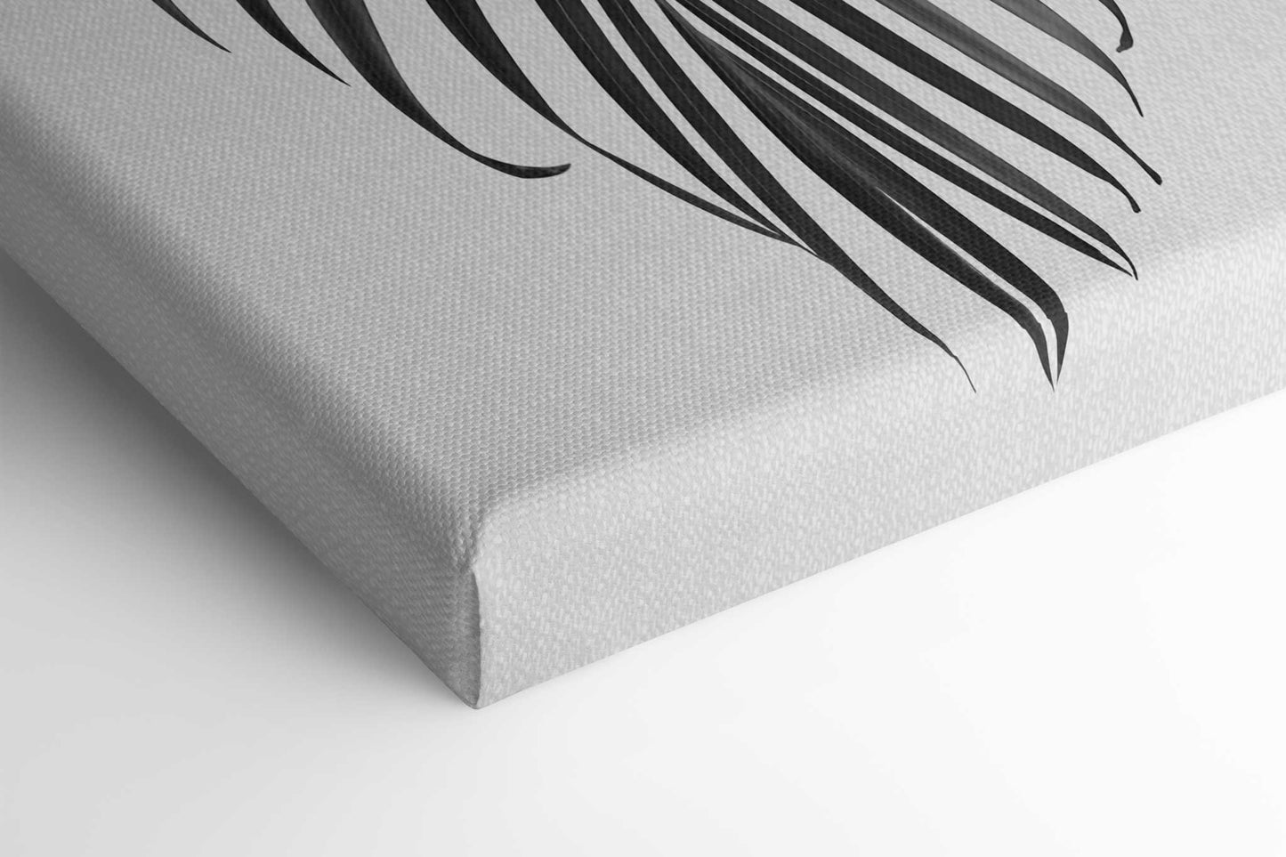 Palm Leaf B&W