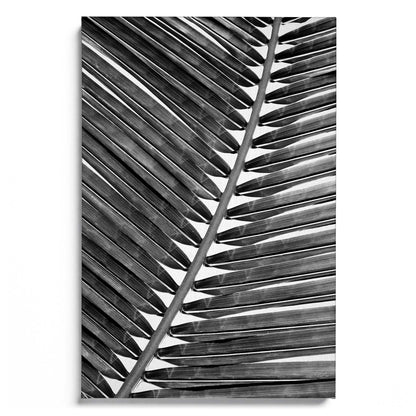 Palm Leaf 2 B&W