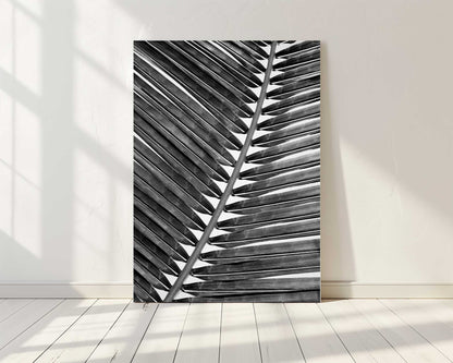 Palm Leaf 2 B&W