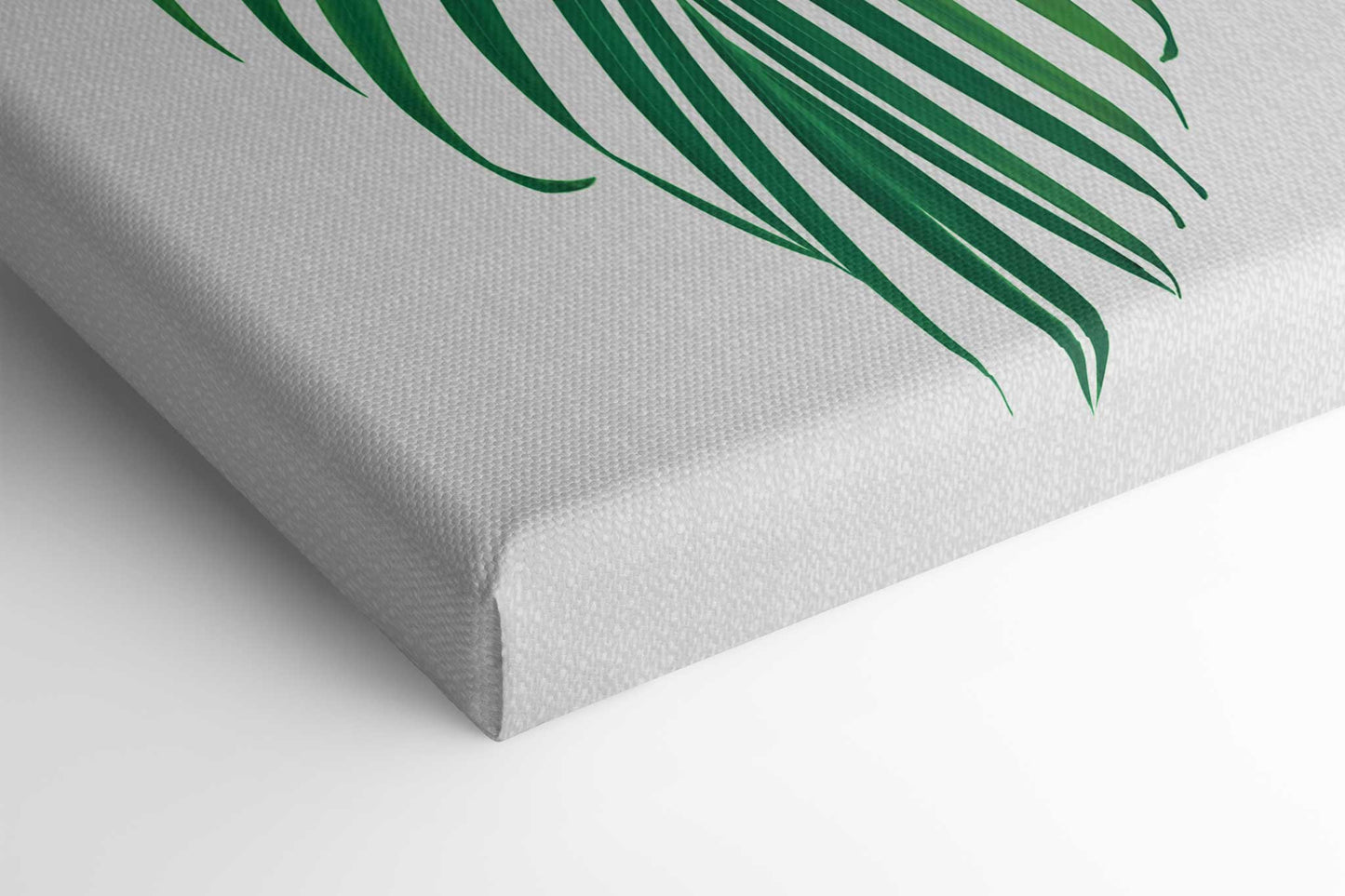 Palm Leaf