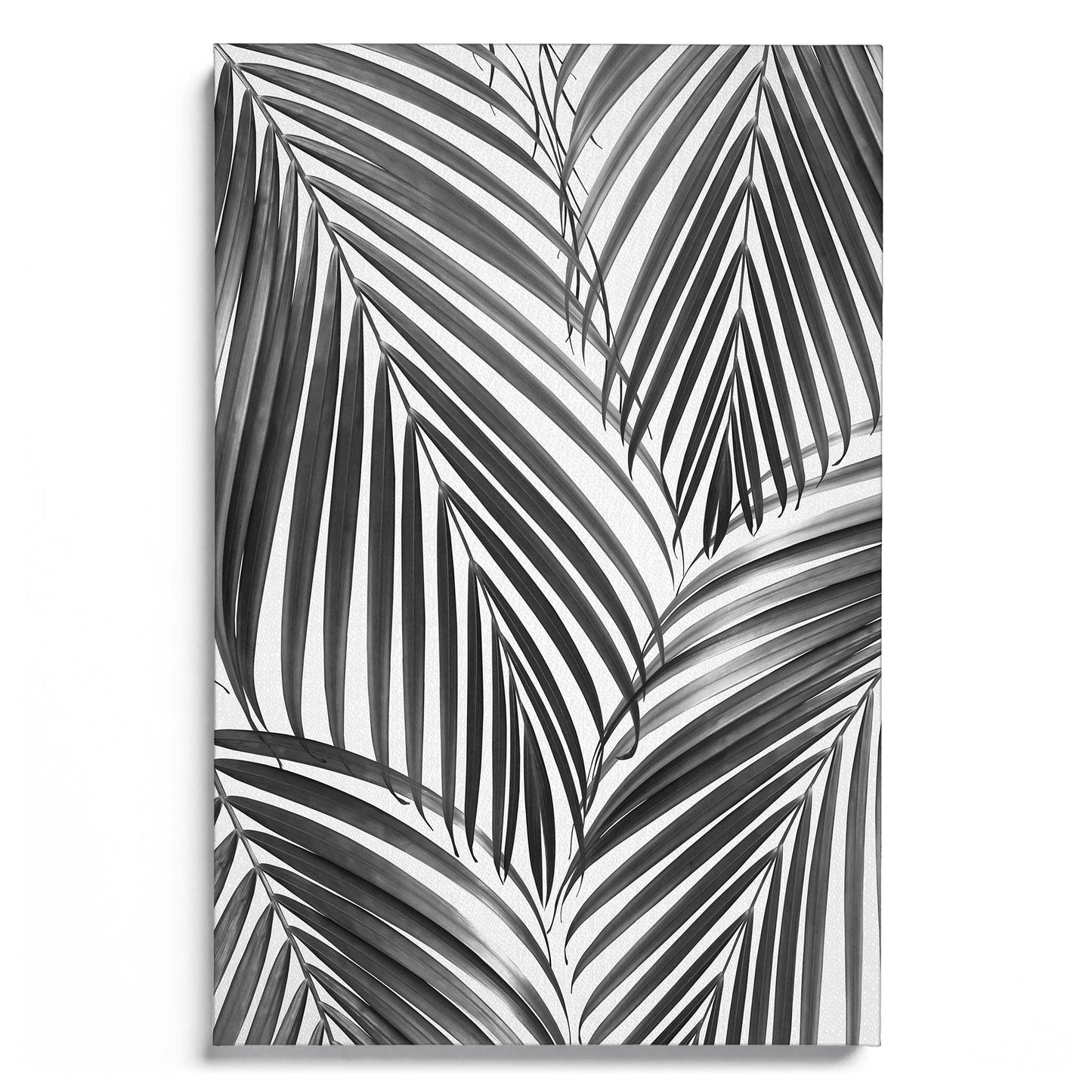 Palm Leaves B&W