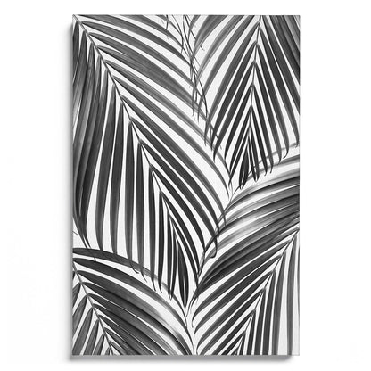 Palm Leaves B&W