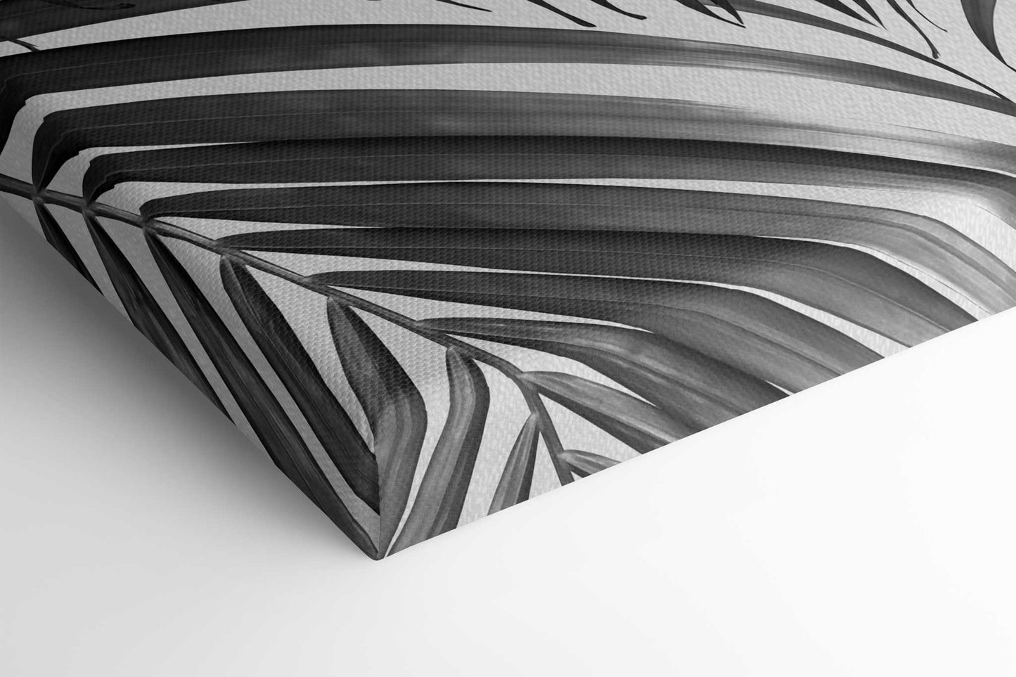 Palm Leaves B&W