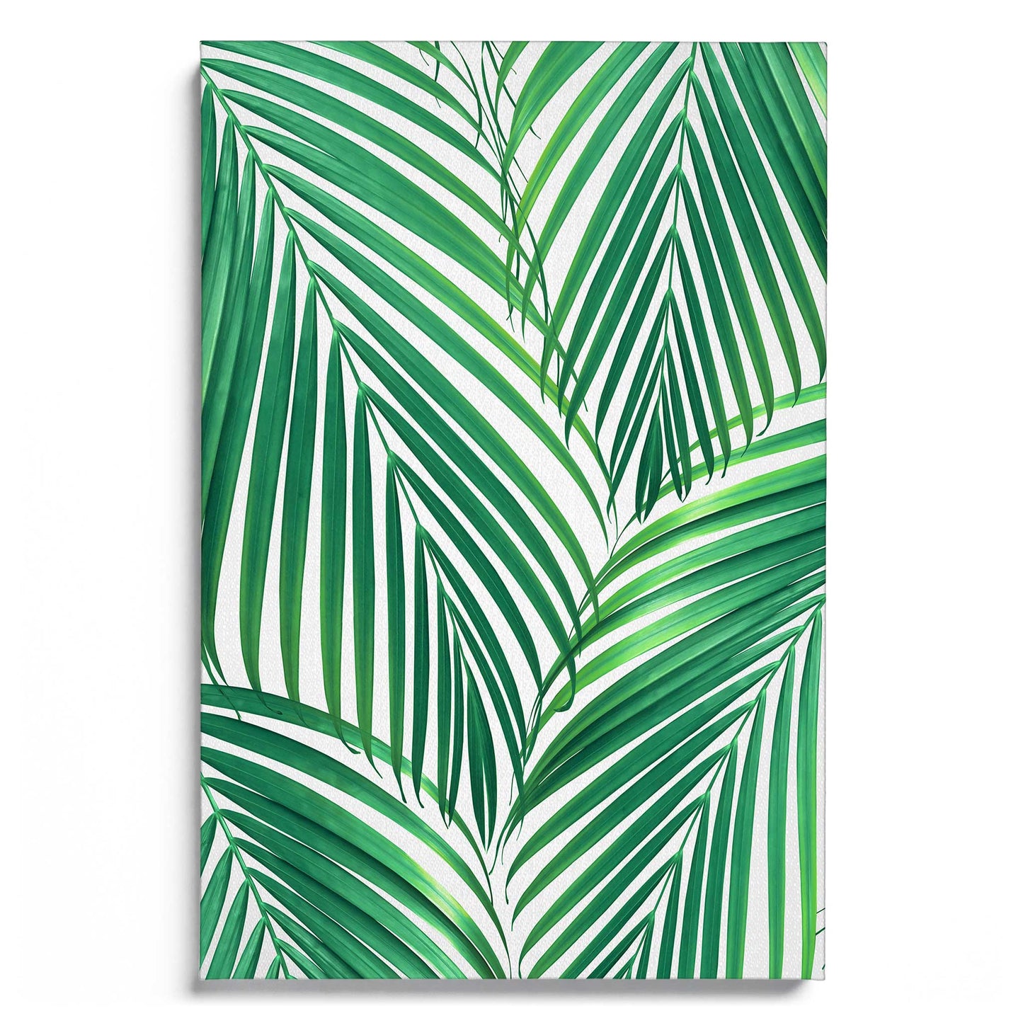 Palm Leaves